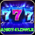 andy flower Bonus Supreme v2.0.3