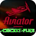 bbl cricket Turbo Casino App