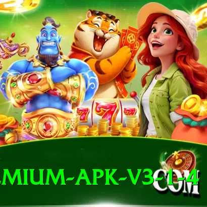 Bingo Patti Premium APK v3.1.4 - 2