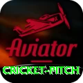 cricket pitch VIP Gaming App