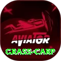 grass carp Live Ultimate