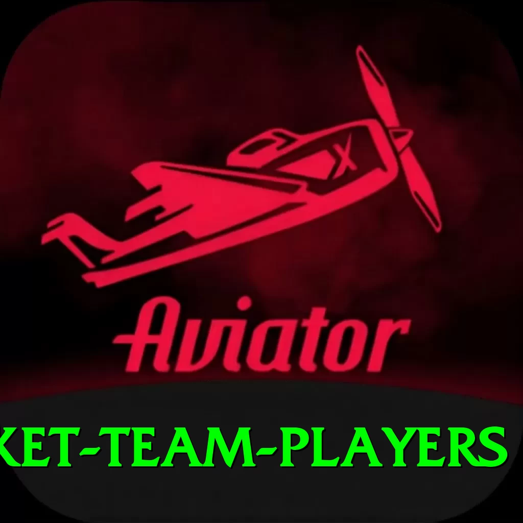 india national cricket team players Games Mega - 2