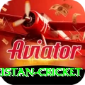 india pakistan cricket Legend PK v4.8.8