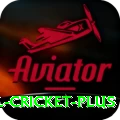 international cricket Official v2.9.7