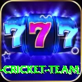 ireland cricket team Official v2.6.2