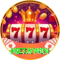 Metawin Pro Edition v3.0.8