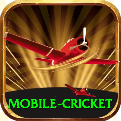 mobile cricket PK King - 2