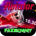 pakrummy - Gaming Royal