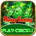 play cricket - Slots Legend