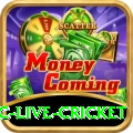 smartcric live cricket Live Casino Max