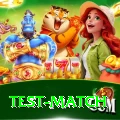 test match Elite New
