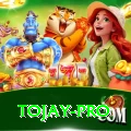 tojay Live Gold v5.7.3