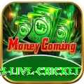 watch live cricket Slot Machine King