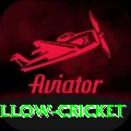willow cricket Max - Win Real PKR